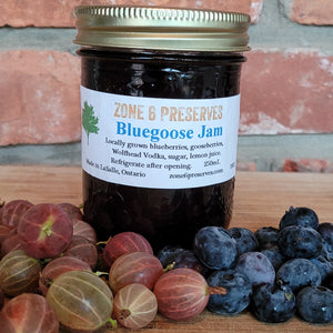 Bluegoose Jam