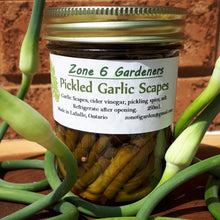 Load image into Gallery viewer, Pickled Garlic Scapes
